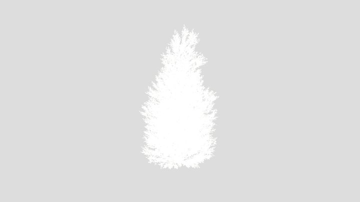 Montra Olive Tree Version