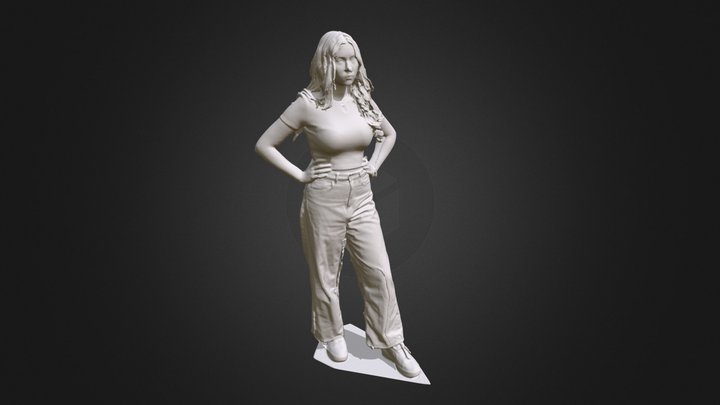 Iida scan 3D Model