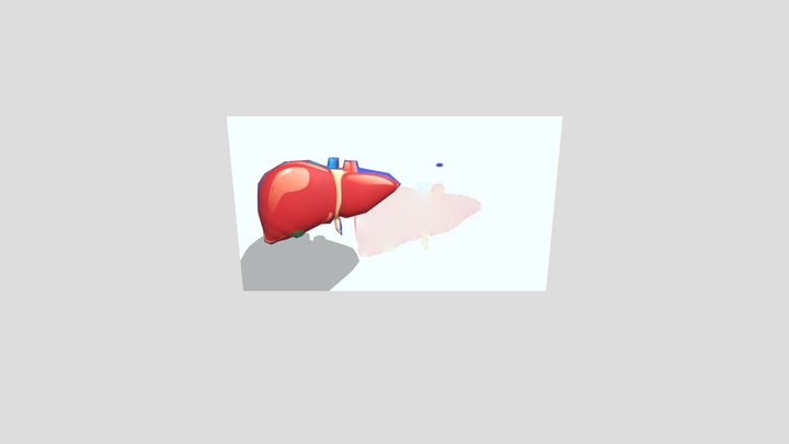 Materi tentang hati 3D Model