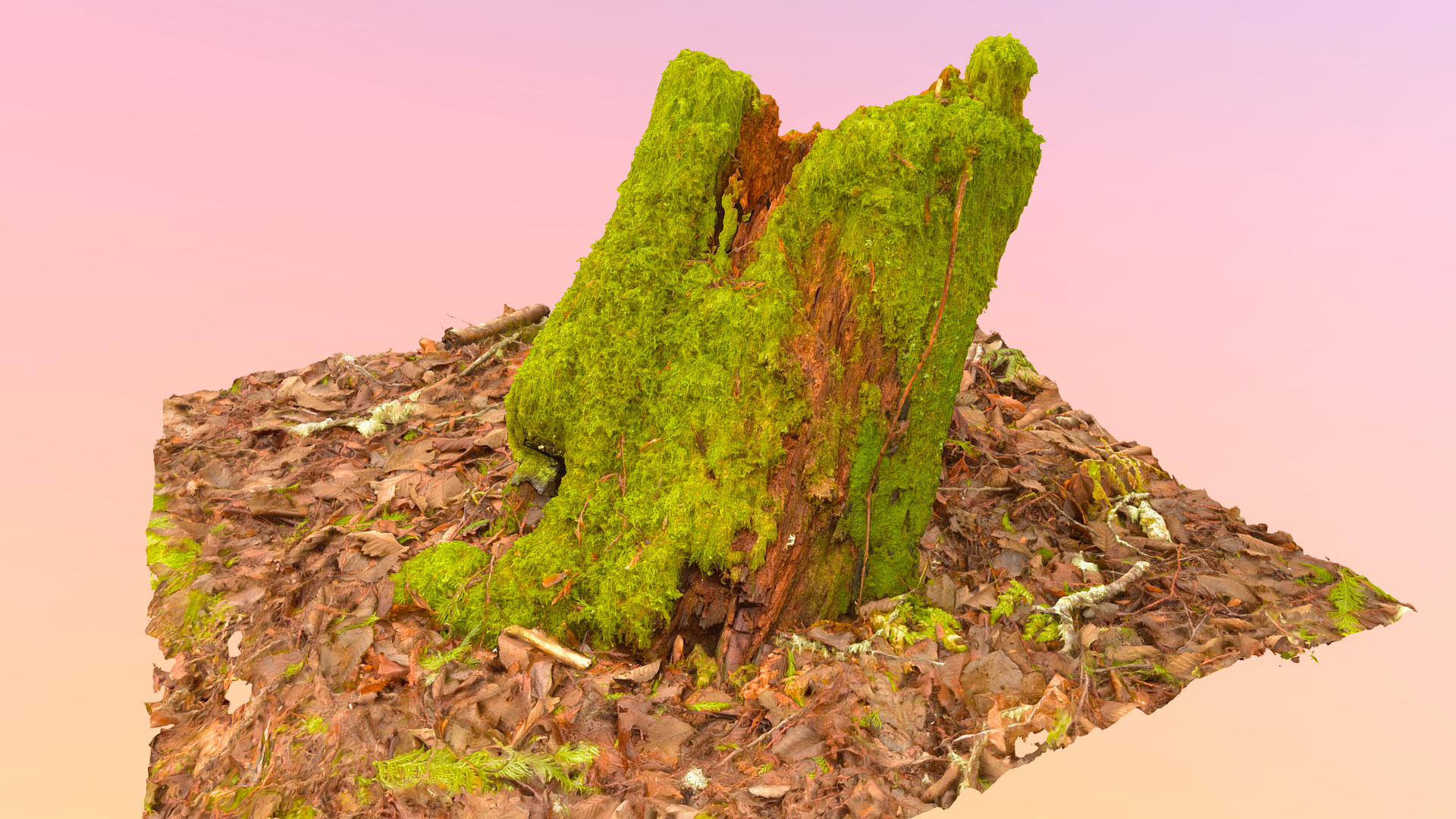 3D model Mossy Stump 9 - This is a 3D model of the Mossy Stump 9. The 3D model is about a green plant on a rock.