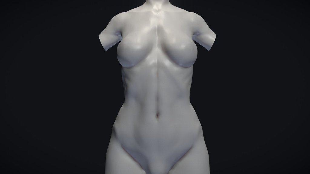 Female Torso Base Mesh