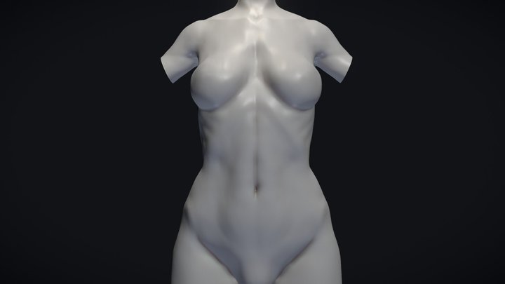 Female Torso Base Mesh 3D Model