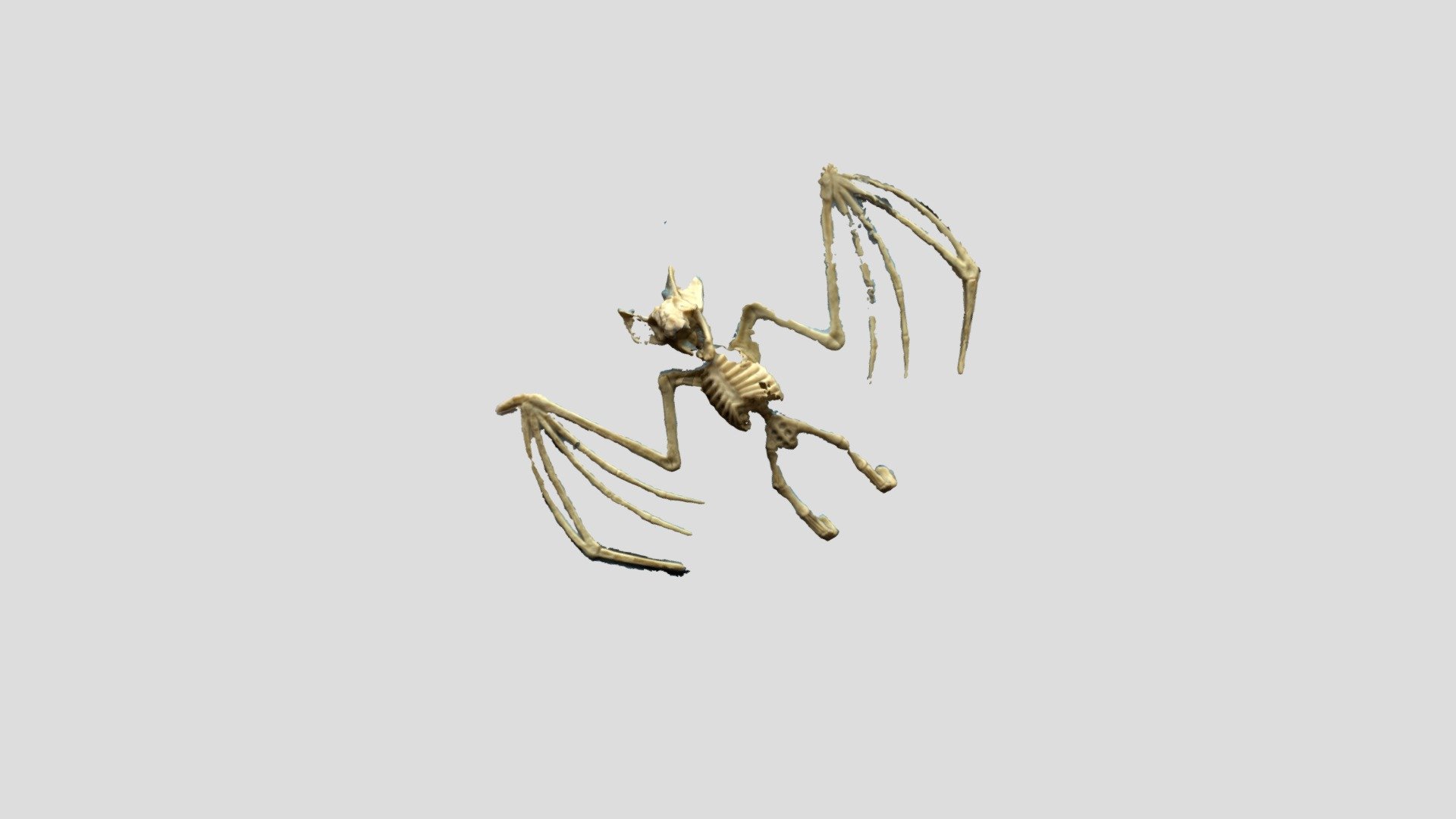 object8