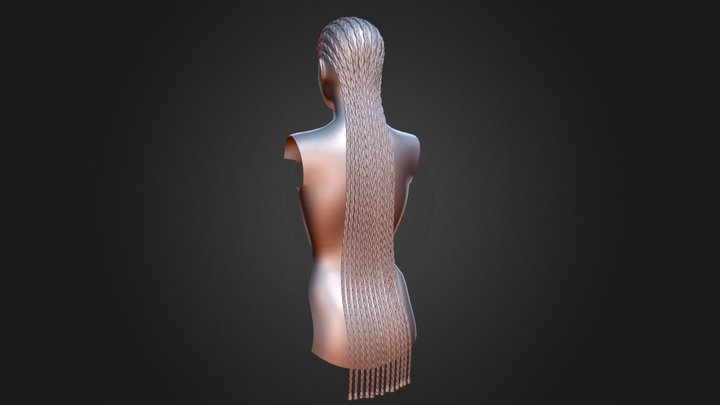 Braids 04-20-2021 3D Model