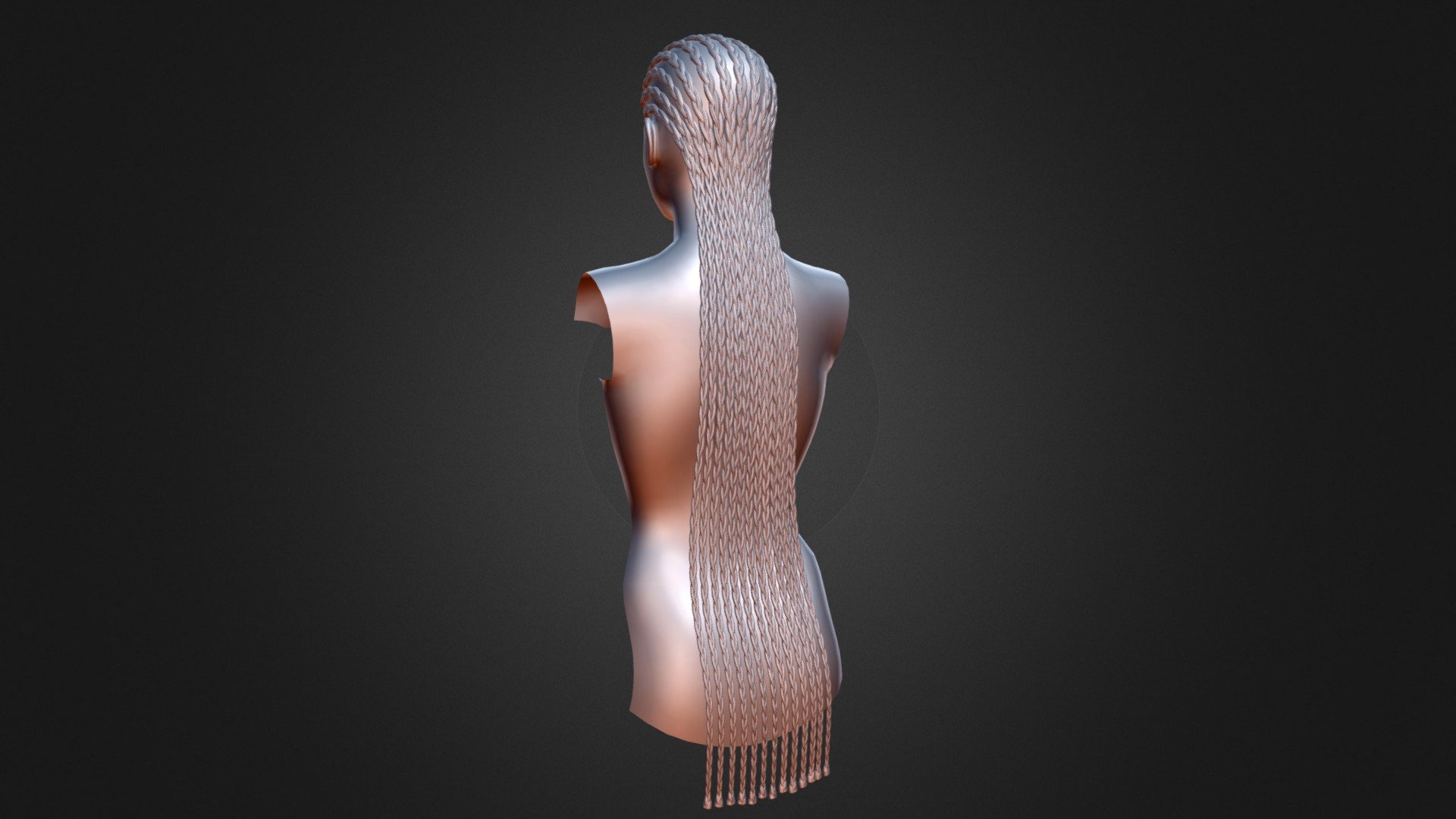 Braids 04-20-2021
