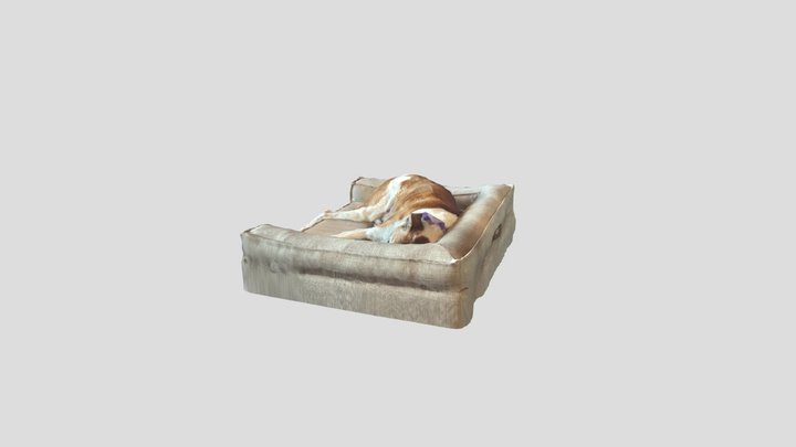 Sleeping Tula3 3D Model