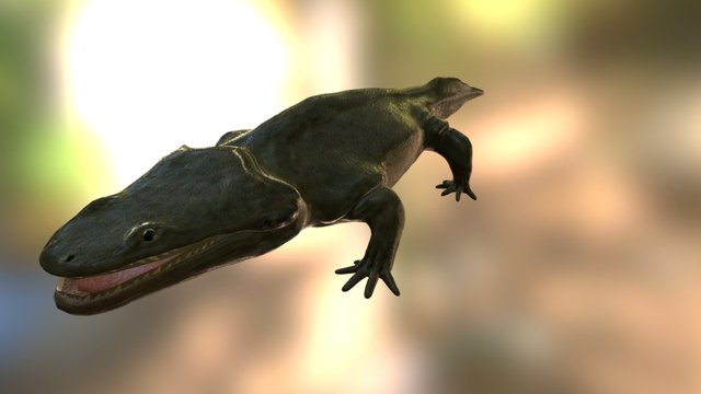 Metoposaurus 3D Model