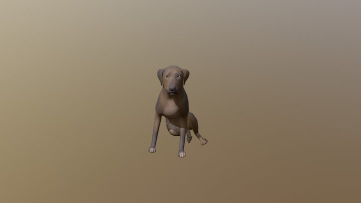 Dog 3D Model