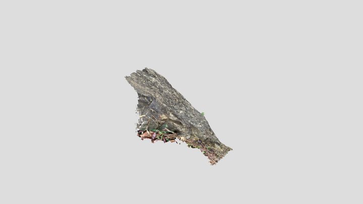 NV 3 3D Model