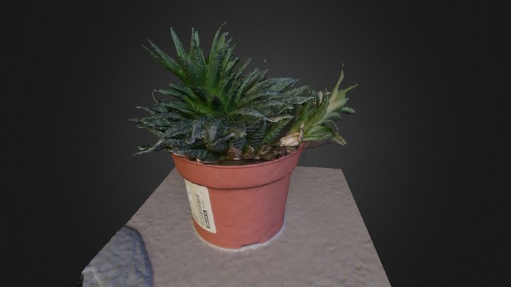 #3DST13 3D Model