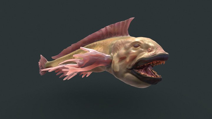 Grinner Fish 3D Model