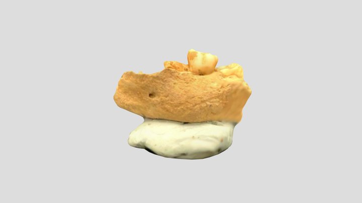 New Qlone 3D Model