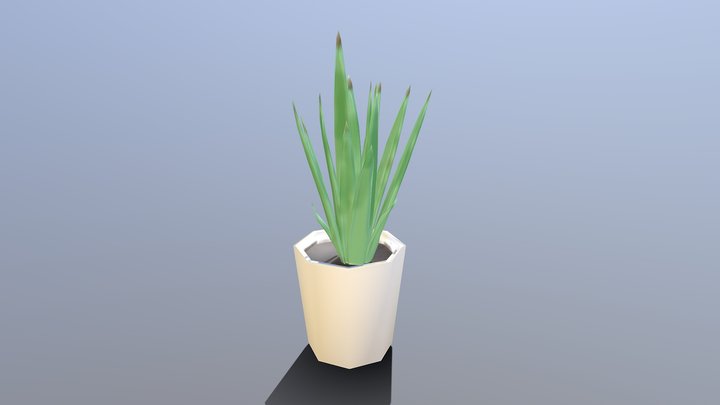 Simple Aloe Pot Plant 3D Model