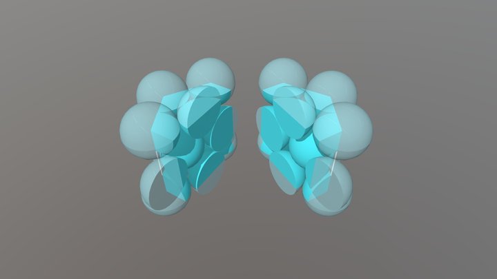 HCP section 3D Model