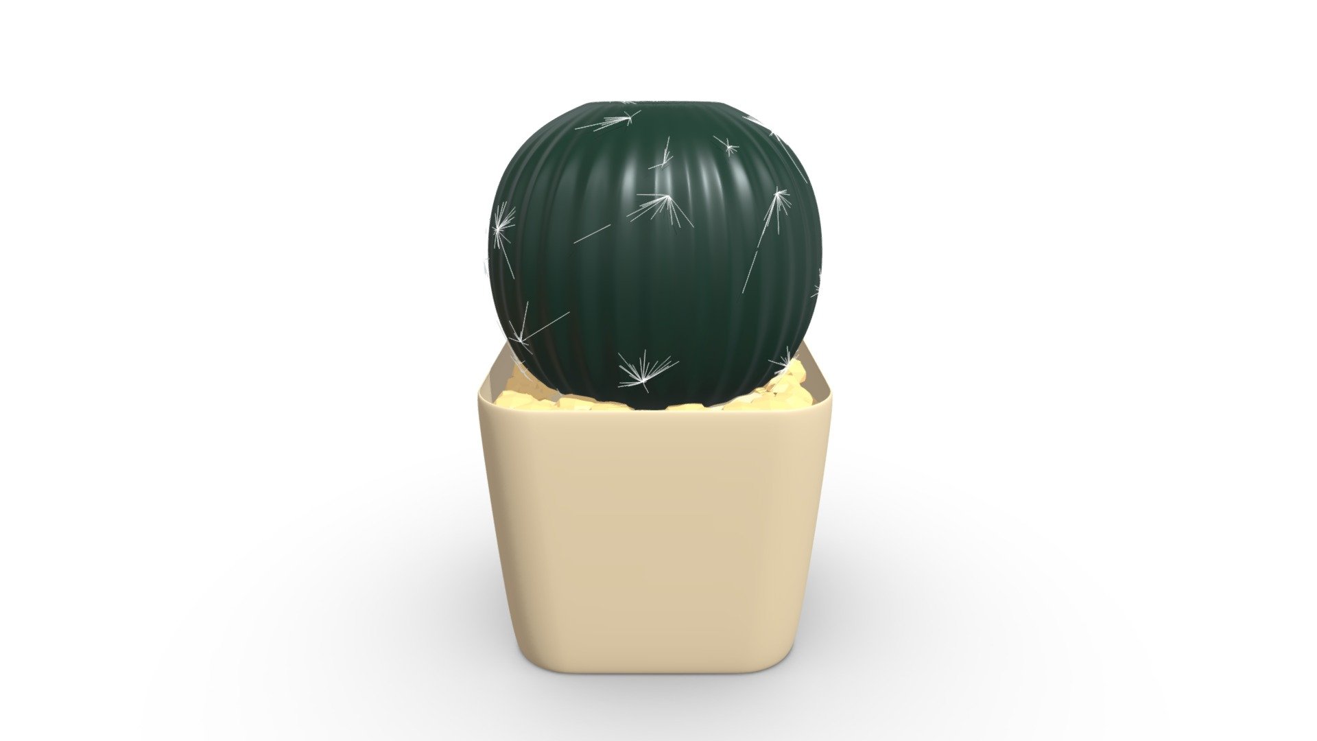 The cactus tree is planted in a white pot