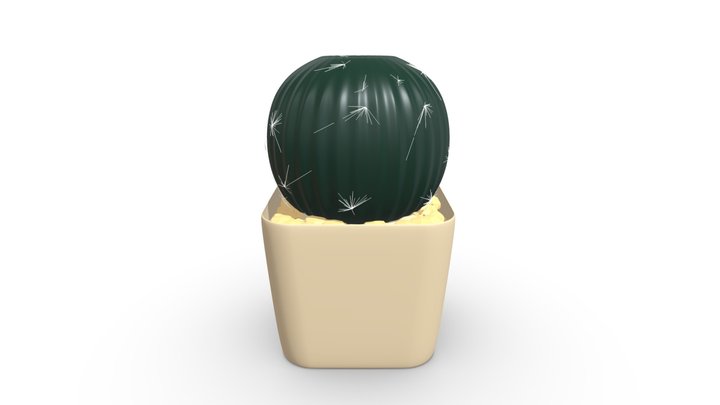 The cactus tree is planted in a white pot 3D Model