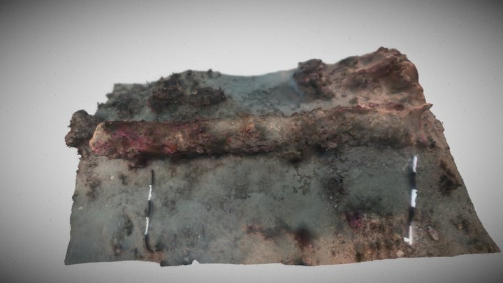 Historic Cannon 3D Model