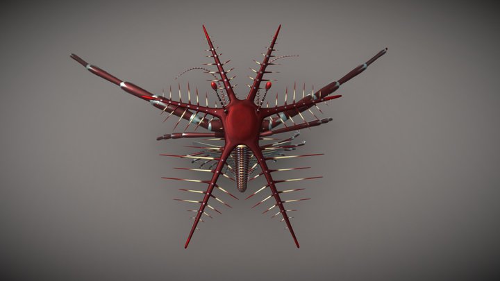 Mimetaster hexagonalis 3D Model