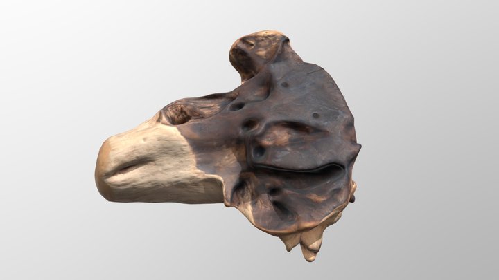Holzstuck 3D Model
