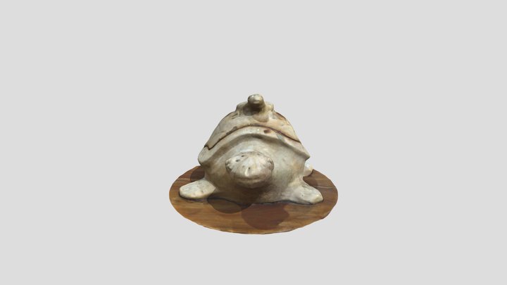 Turtle 3D Scanning (glb) from polycam 3D Model