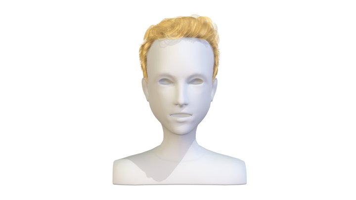 Short Haircut 3D model