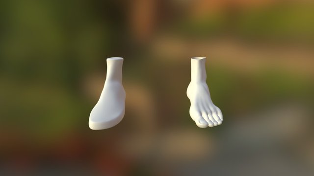 Foot and Shoelast 3D Model
