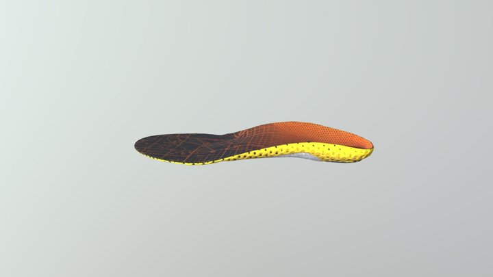 Insole 3D Model
