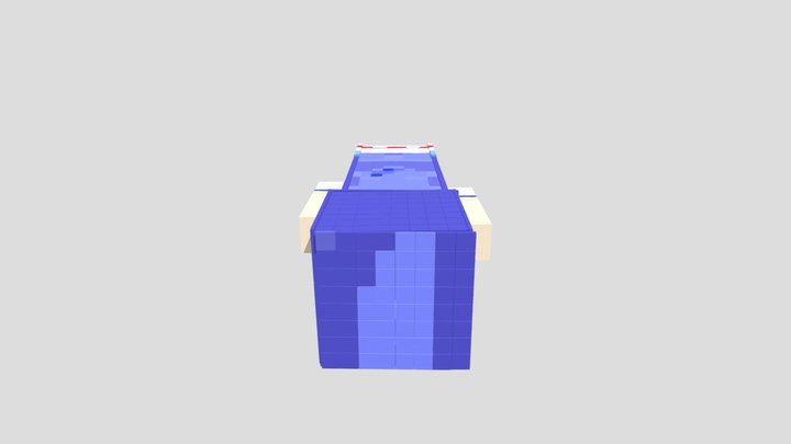 Minecraft Riders Sonic Slim Edition 3D Model
