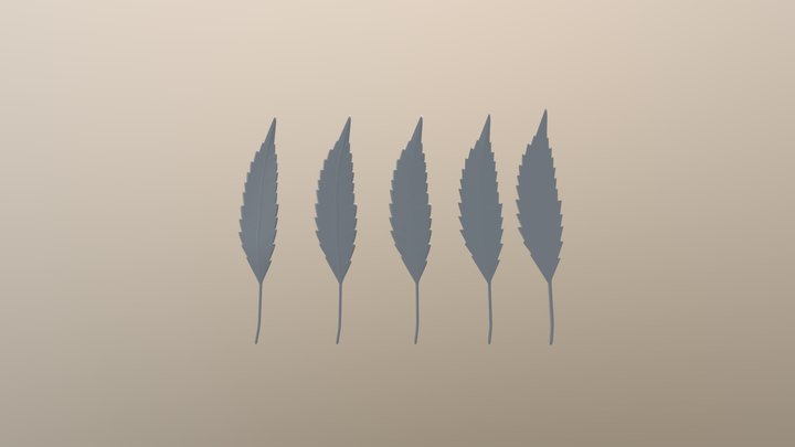 OConnellc2 Leaf 3D Model