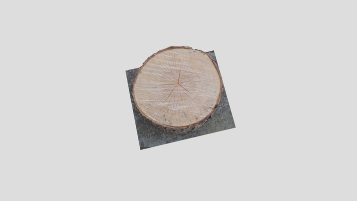 Tree Stump 3D Model