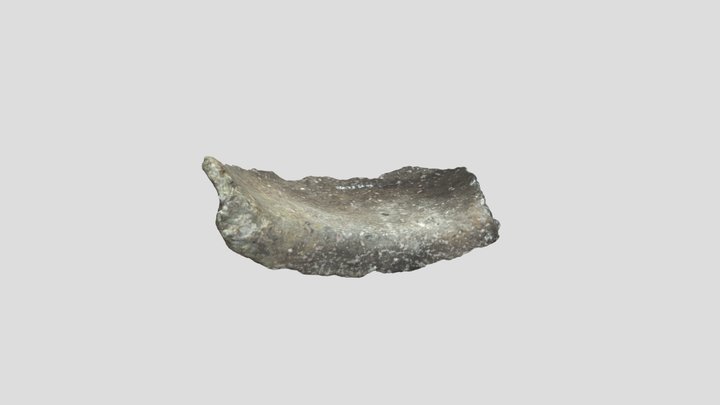 Late Bronze Age Sherd 3D Model