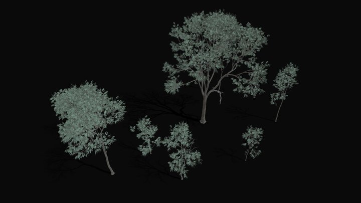 eucalypt pack – Modello 3D gratuito STL