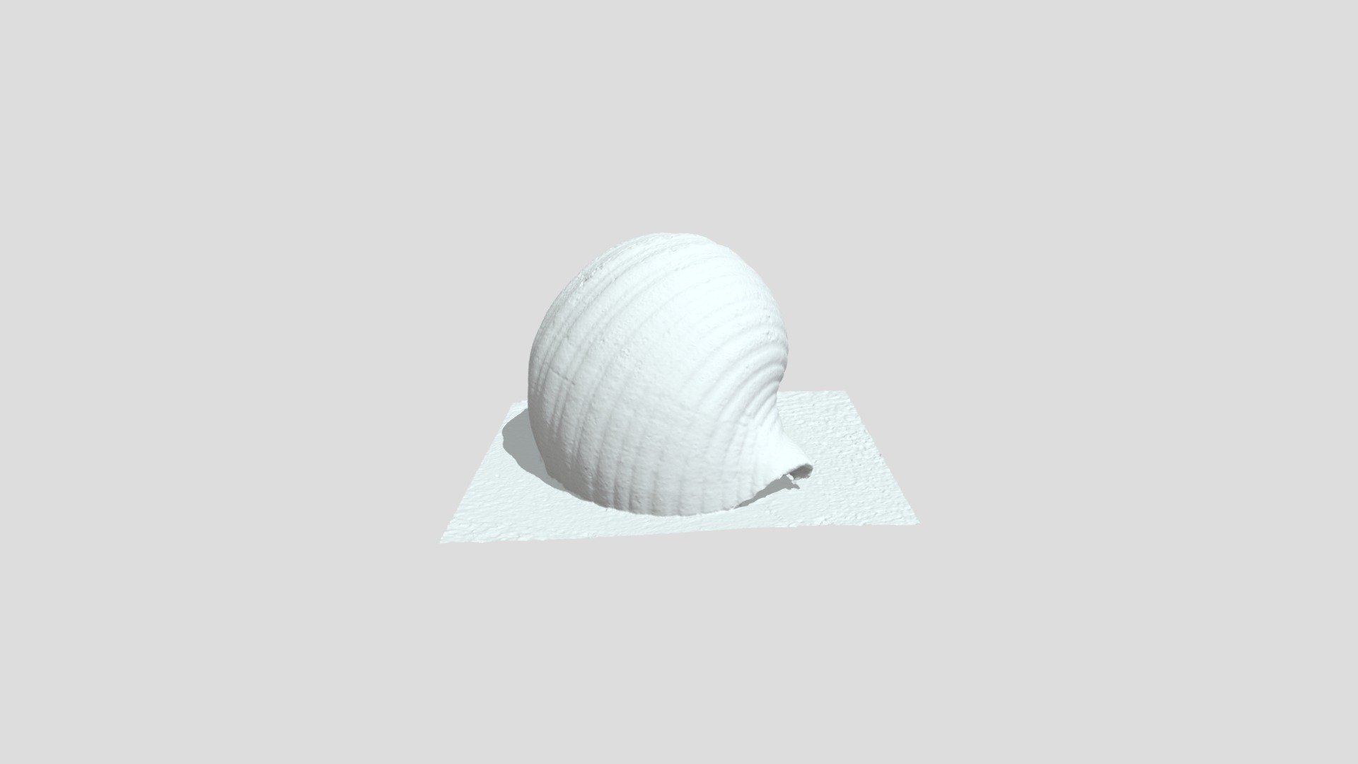 shell