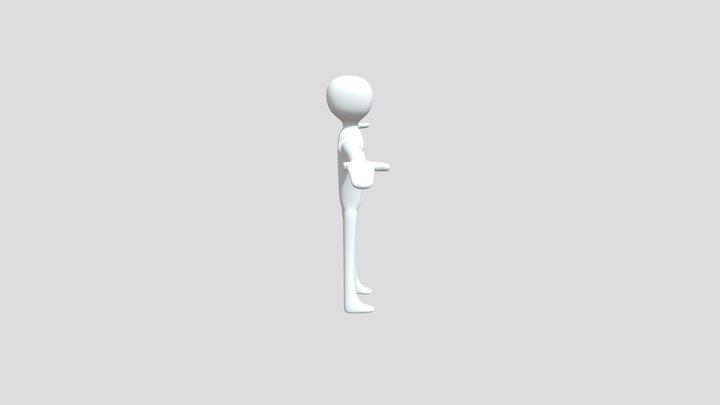 human rig 3D Model