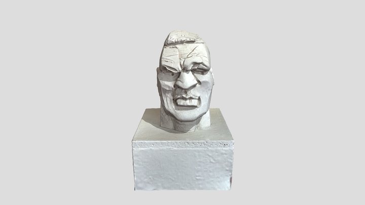 Boxer- Head  - 3D Model