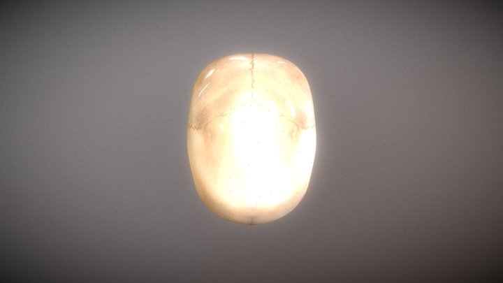 weird skull 3D Model