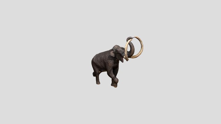 mammoth_trimmed 3D Model