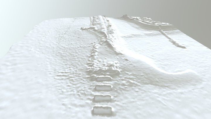 DGP0001 Langstone SC 3D Mesh 3D Model