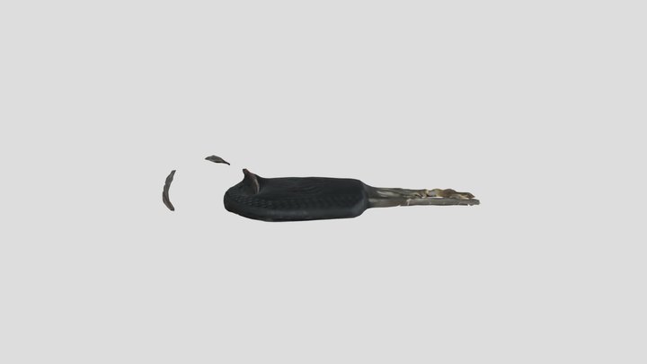 Deformed Key 3D Model