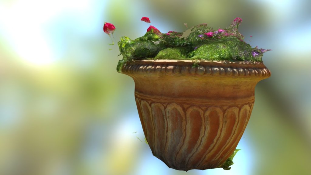 Vaso e fiori