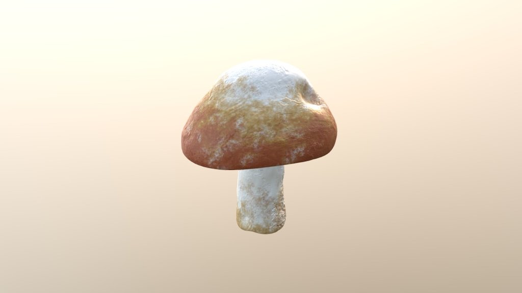 Mushroom