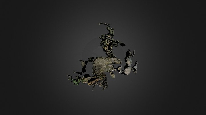Tourcastillonouestpix4d Simplified 3d Mesh 3D Model