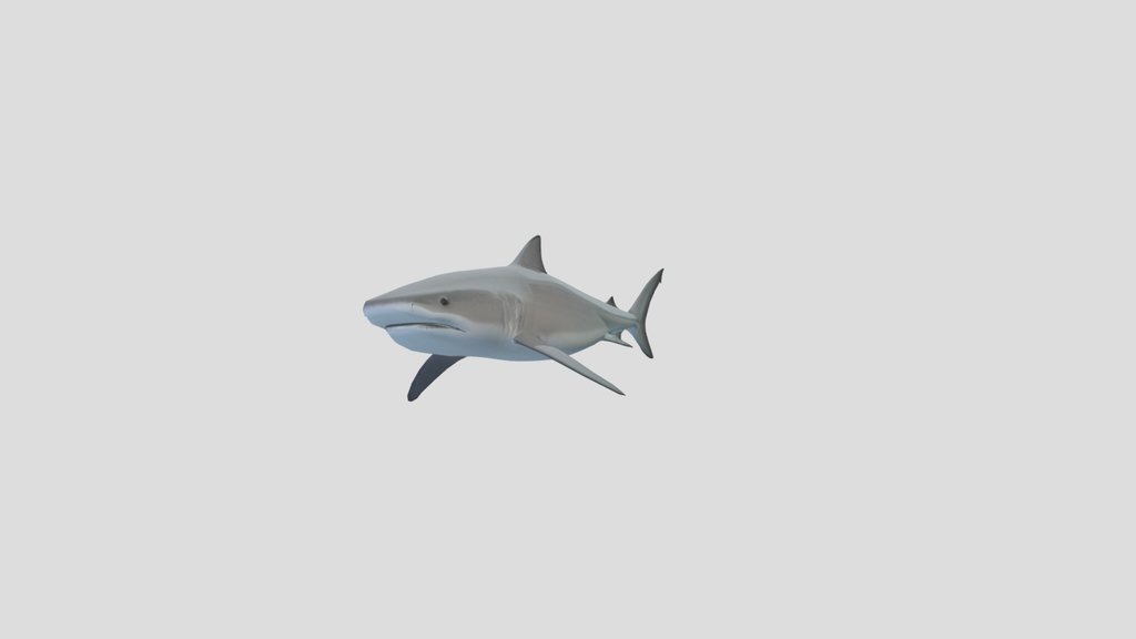 Low-poly Tiger Shark (Galeocerdo Cuvier)