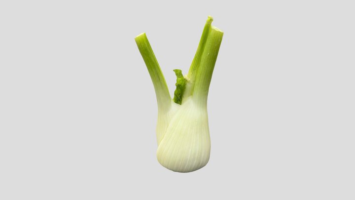 Summer_Fennel 3D Model
