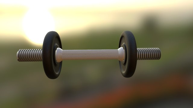 Weights 3D Model