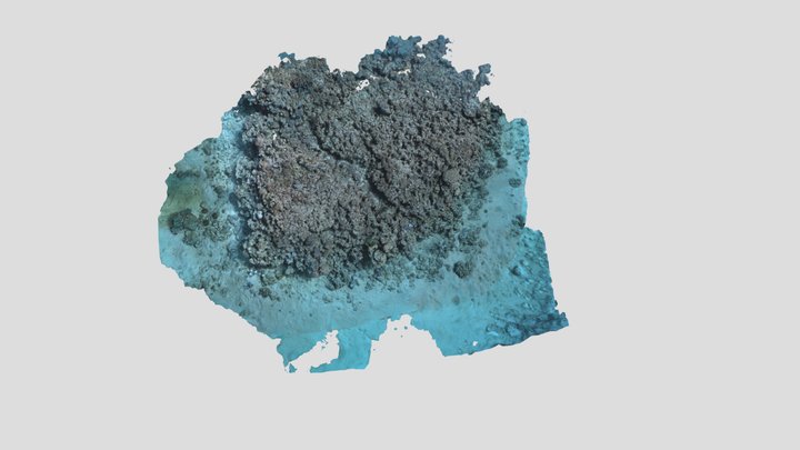 Heron_LA1S_P2_202105 3D Model