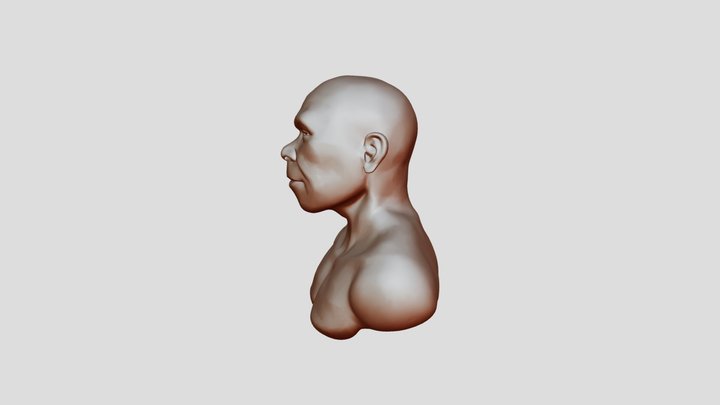 Jebel Irhoud Bust