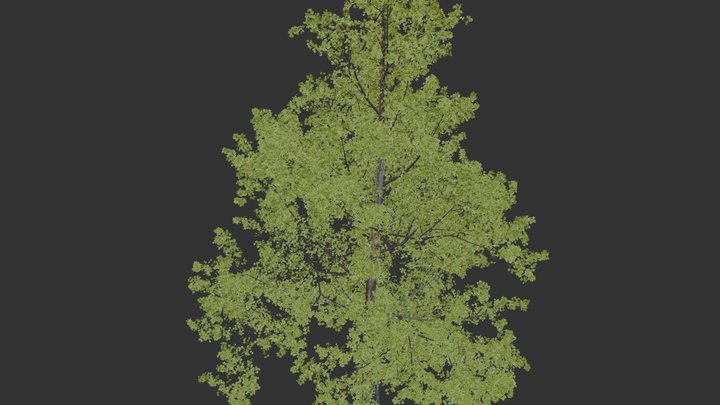 Tree - Tall Green Flame_outline 3D Model