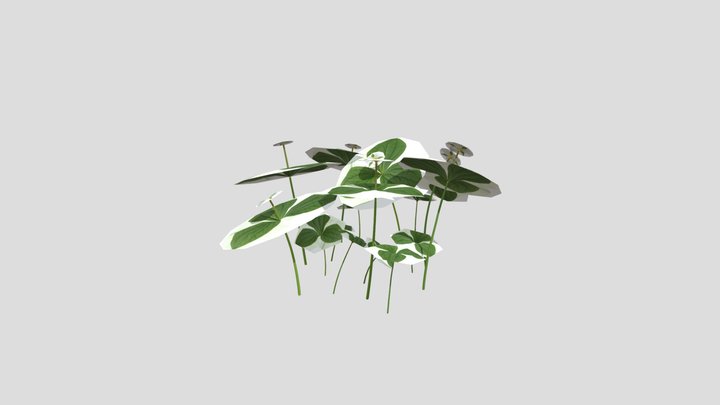 Western Trillium Wild Flower – Modelo 3D gratuito STL