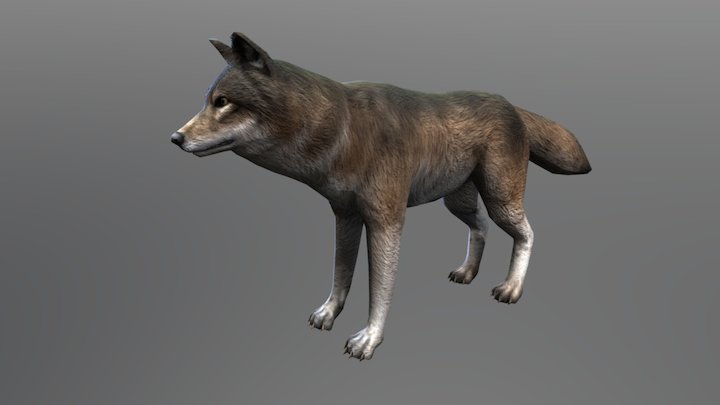 Wolf Big Animation (Turbo Rocket Games) 3D Model